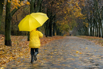 Child in yellow raincoat with large yellow umbrella in autumn park. Fallen leaves background. Back view