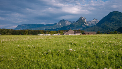 Meadow flowers under the alpine mountains with a mountain village in the background in daylight.