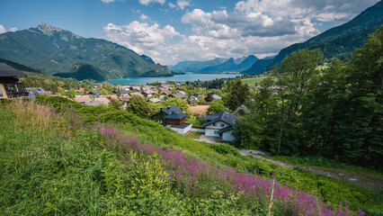 A panoramic view of the alpine lake Wolfgangsee from the town of Sankt Gilgen with mountains in the background and grass and flowers in the foreground.