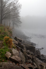 autumn, fog, fog over the pond, mists, mists over the fished pond, drained pond