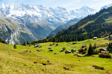 Fototapeta na wymiar Amazing touristic alpine village in valley Lauterbrunnen, Switzerland attraction