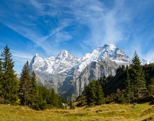 Idyllic summer panorama landscape in the Alps with fresh green meadows and snowcapped mountain tops in the background. Switzerland