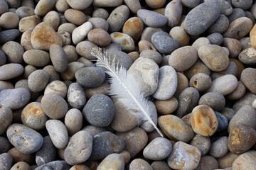 stones on the beach
