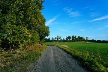 Empty road amidst trees against sky