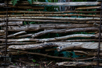 Fototapeta na wymiar pile of logs