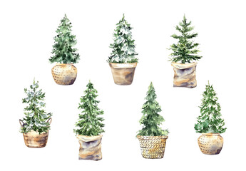 Christmas tree watercolor winter illustration natural basket
