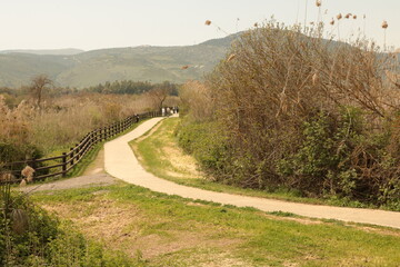 path in the countryside