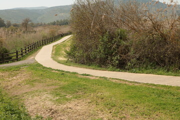 path in the countryside