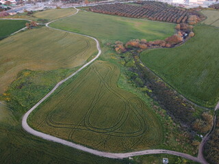 aerial view of landscape