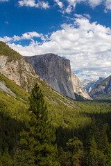 Obraz premium Yosemite National Park