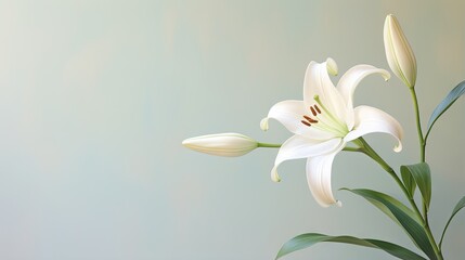 Obraz premium a white flower is in a vase on a table top. generative ai