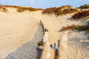 Sunny Day on Sandy Dunes in The Hague, Netherlands: Amazing Sand Dunes of Europe.