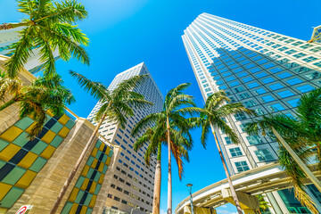 Fototapeta na wymiar Skyscrapers and palm trees in downtown Miami on a sunny day