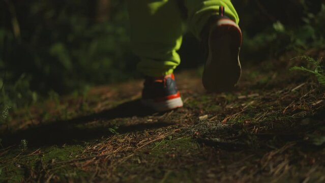 Little child in light green sweatpants and sports shoes walks alone in evening forest. Kid wanders along illuminated forest path in search of family campsite