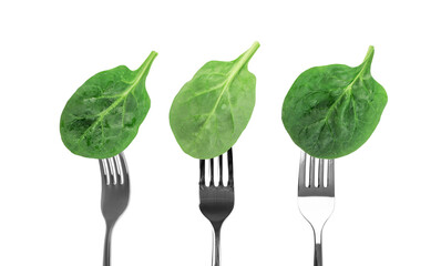 Fresh Spinach Leaves on Forks Isolated