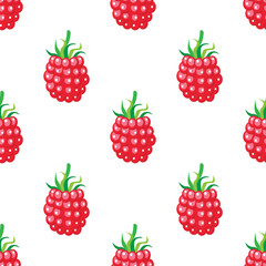 Red raspberry seamless pattern on white background. Vector illustration.