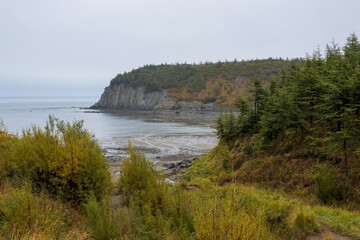 View of the sea coast. Autumn landscape. Larch trees grow on the shore. Travel and hiking in nature. Overcast weather.