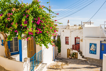 Typical narrow street with Greek architecture and houses decorated with flowers in Plaka village, Milos island, Cyclades, Greece - obrazy, fototapety, plakaty