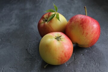 dark background with juicy red-yellow apples. Nature abstract background. ripe apples, beautiful background texture, vitamins