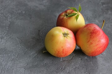 dark background with juicy red-yellow apples. Nature abstract background. ripe apples, beautiful background texture, vitamins