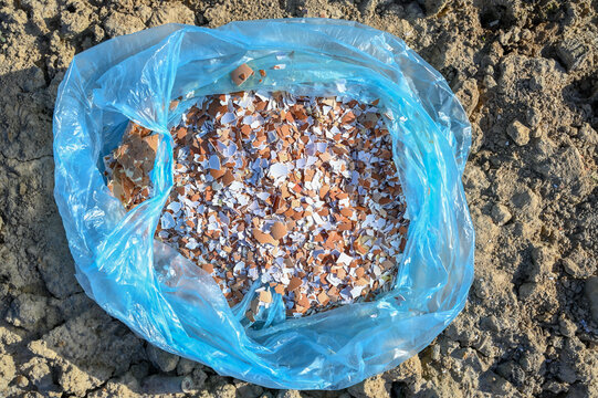 Crushed eggshells on the ground in a bag, ready to be added to the soil. Calcium for plants.