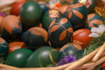 A basket full of eggs, painted blue. Coloring eggs for the Orthodox Easter holiday. Decorating eggs with plants.