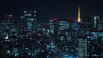 Tokyo city view with Tokyo Tower at night.