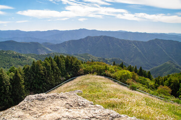 秋、和歌山県生石高原のススキ野原