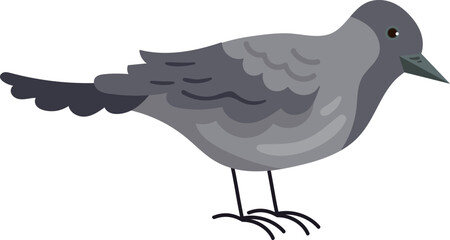 Crow Bird Icon