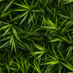 Green seamless texture pattern of leaves