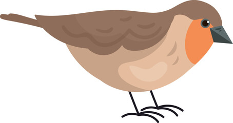 Sparrow Bird Icon