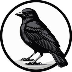 Black Finch A Vector Logo Design for the Business Thats Always on the Go Black Finch A Vector Logo Design for the Business Thats Never Afraid to Take Risks
