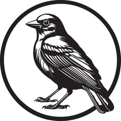 Black Finch A Vector Logo Design for the Business Thats Never Afraid to Take Risks Black Finch A Vector Logo Design for the Business Thats Always Pushing the Limits