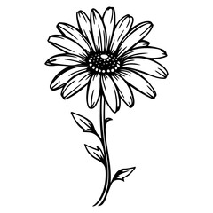 beautiful monochrome, black and white daisy flower isolated. for greeting card and invitations of the wedding, birthday, Valentine's Day, mother's day and other seasonal holiday