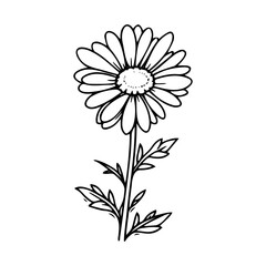 beautiful monochrome, black and white daisy flower isolated. for greeting card and invitations of the wedding, birthday, Valentine's Day, mother's day and other seasonal holiday