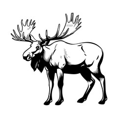vector silhouette moose on white background, ai generated