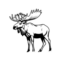 Fototapeta premium vector silhouette moose on white background, ai generated