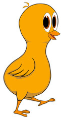 Cartoon of a funny chick