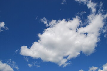 Lake under a cloudy sky. Forest lake with small waves on the surface, under a light blue sky with white cumulus and cirrus clouds. A forest with green foliage grows along the shores of the lake.