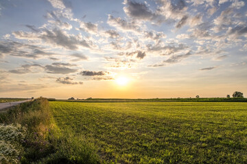Obraz premium Beautiful polish sunset with clouds over field