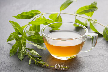 Lemon verbena hot drink - Fresh organic lemon verbena plant - Aloysia citrodora