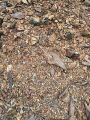 stones on the beach
