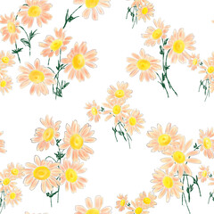 Fototapeta na wymiar Romantic digital watercolor pattern, orange daisies on transparent background - semless pattern