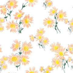 Abwaschbare Fototapete Romantic digital watercolor pattern, orange daisies on transparent background - semless pattern © KatiaSuzana