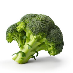 Broccoli Studio Shot Isolated on White Background, Food Photography, Generative AI