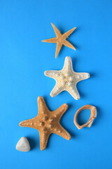 Beautiful starfishes and stone on blue background, flat lay