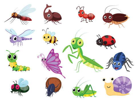 Insects cartoon collections, cute butterfly, ant, fly, bugs, bee, dragonfly, spider, ladybug, grasshopper, caterpillar, worm, snail and beetle