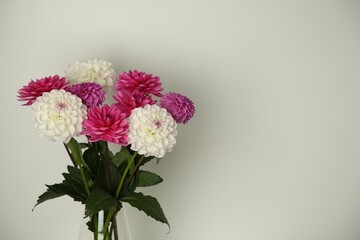 Bouquet of beautiful Dahlia flowers near white wall, space for text