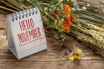 Hello November welcome note in a spiral desktop calendar with floral bouquet of dry flowers and grain stalks, season and calendar concept