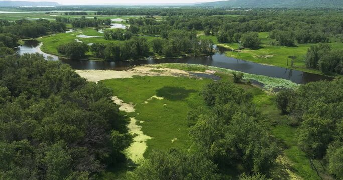 Flyover aerial of delta floodplain forest Beef slough in USA, Mississippi river